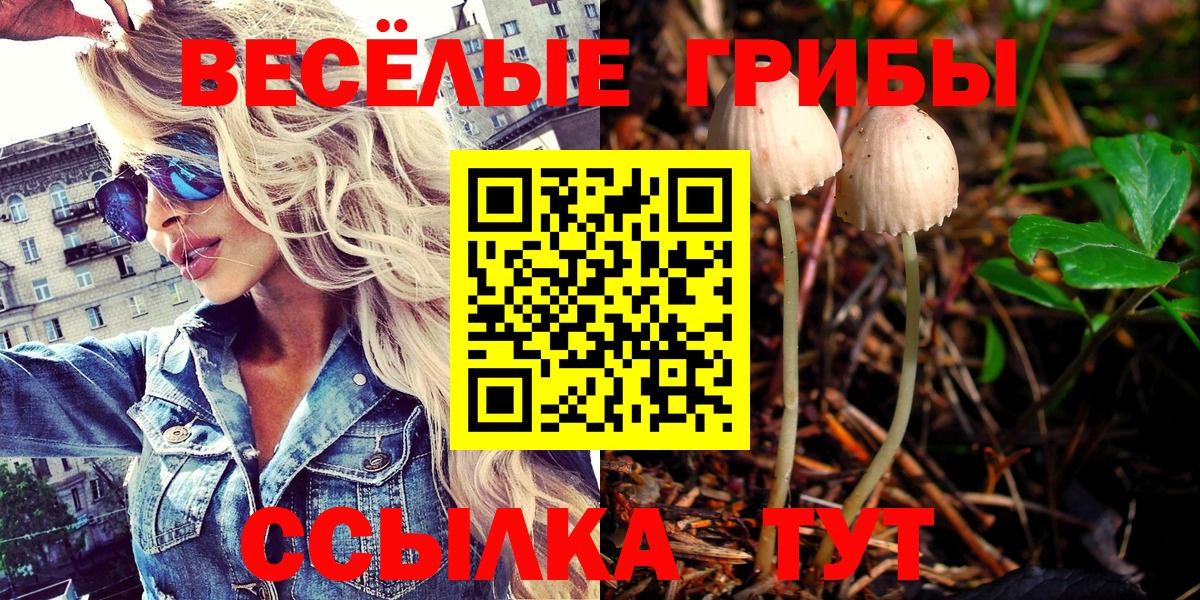 Галлюциногенные грибы Cubensis Скопин